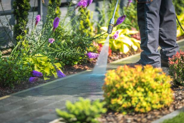 Akron, CO Pressure Washing Services Company